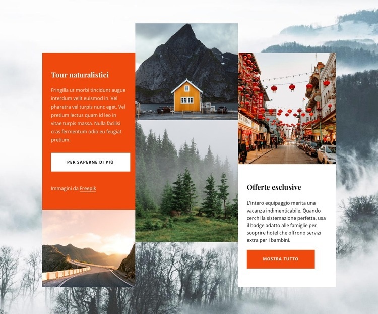 Esperienze in Norvegia Modelli di Website Builder