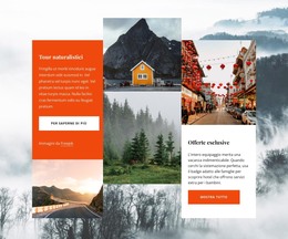 Esperienze In Norvegia - Download Del Modello HTML