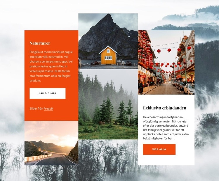 Norge erfarenheter Webbplats mall