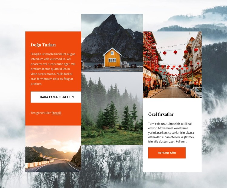 Norveç deneyimleri HTML Şablonu