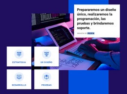 Realizar Programación: Diseño De Sitios Web Definitivo