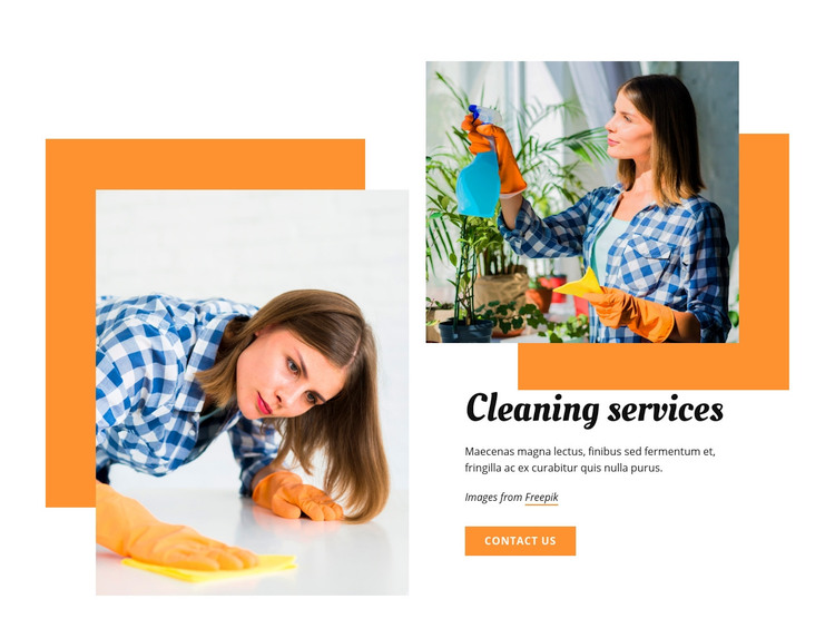 Cleaning services Elementor Template Alternative