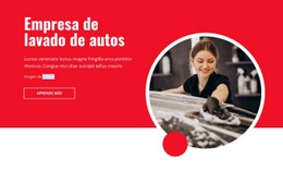 Empresa De Lavado De Autos