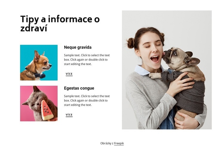 Tipy a informace nápovědy Šablona HTML