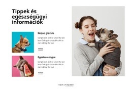 Tippek És Súgó Információk CSS Webhelysablon