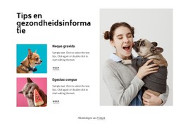 Tips En Hulpinformatie CSS-Websitesjabloon