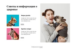 Советы И Справочная Информация CSS-Шаблон Веб-Сайта
