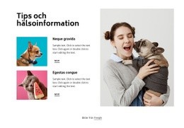 Webbdesign För Tips Och Hjälpinformation