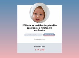 Těhotenský A Baby Newsletter Zdarma – Šablona Osobních Webových Stránek