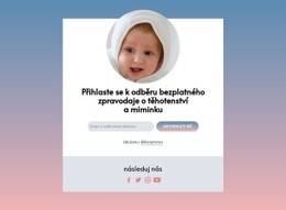 Přizpůsobitelné Profesionální Nástroje Pro Těhotenský A Baby Newsletter Zdarma