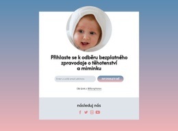 Těhotenský A Baby Newsletter Zdarma – Šablona WordPress