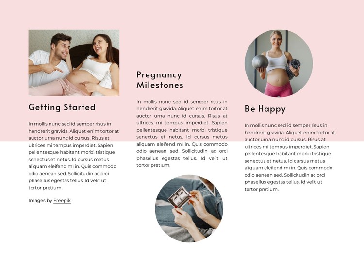 Pregnancy milestones CSS Template