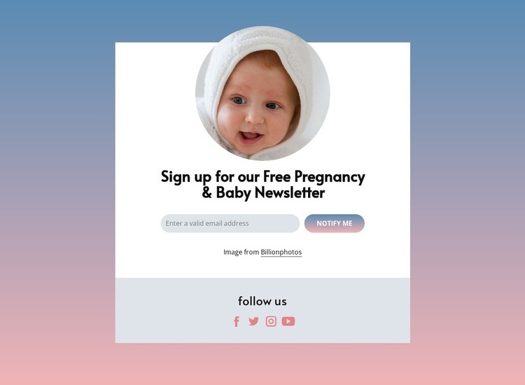 Free pregnancy and baby newsletter Elementor Template Alternative