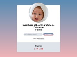 Boletín Gratuito De Embarazo Y Bebé. - Diseño De Sitios Web Gratuito