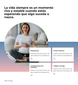 Diseño Web Gratuito Para Encontrar La Felicidad En El Embarazo