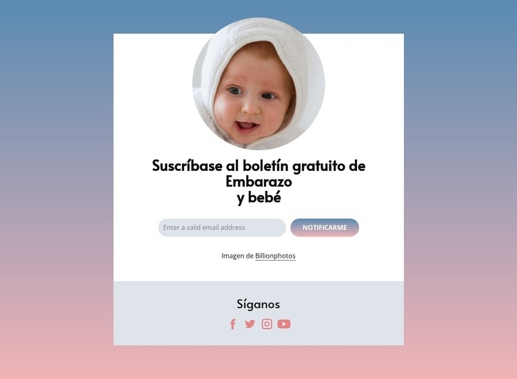 Boletín gratuito de embarazo y bebé. Diseño de páginas web