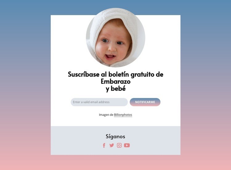 Boletín gratuito de embarazo y bebé. Maqueta de sitio web