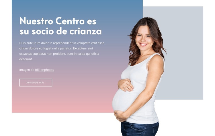 Obtener ayuda para el embarazo Plantilla de sitio web