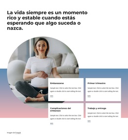 Tema Premium De WordPress Para Encontrar La Felicidad En El Embarazo