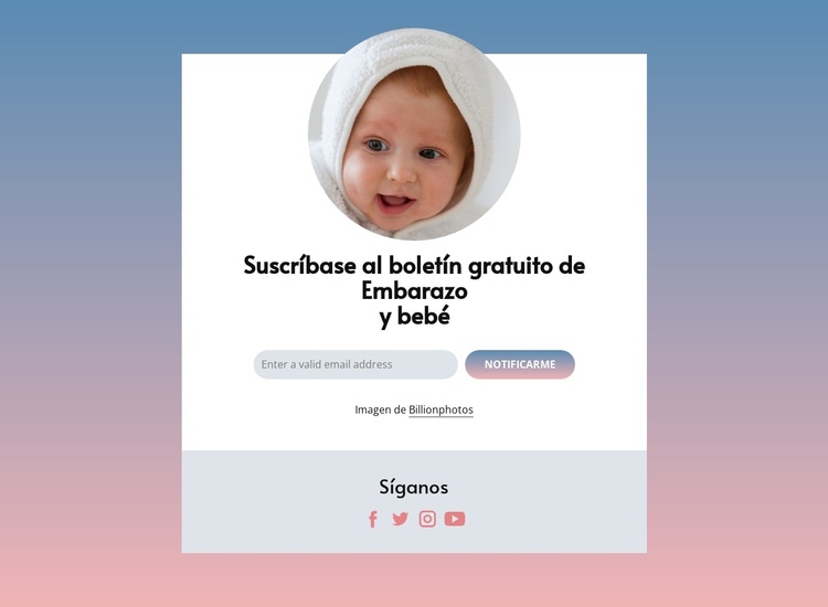 Boletín gratuito de embarazo y bebé. Tema de WordPress