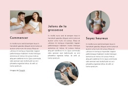Superbe Conception De Site Web Pour Étapes De La Grossesse