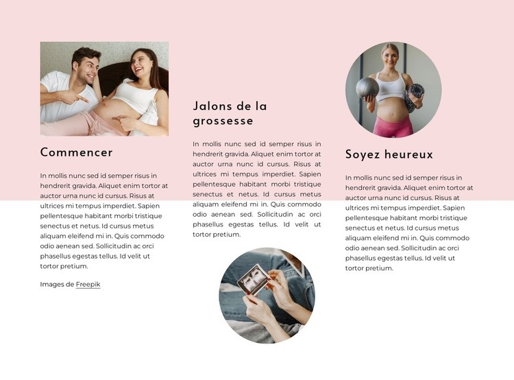 Étapes de la grossesse Modèle HTML5