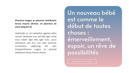 Texte Sur Fond Dégradé #Website-Templates-Fr-Seo-One-Item-Suffix