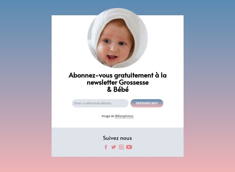 Newsletter grossesse et bébé gratuite Modèle de site Web