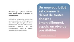 Texte Sur Fond Dégradé - Thème WordPress Polyvalent Créatif