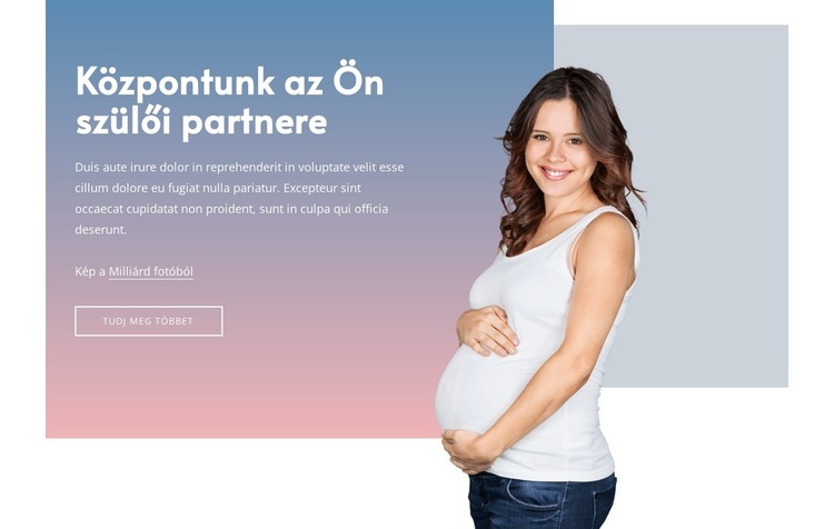Kérjen terhességi segítséget CSS sablon