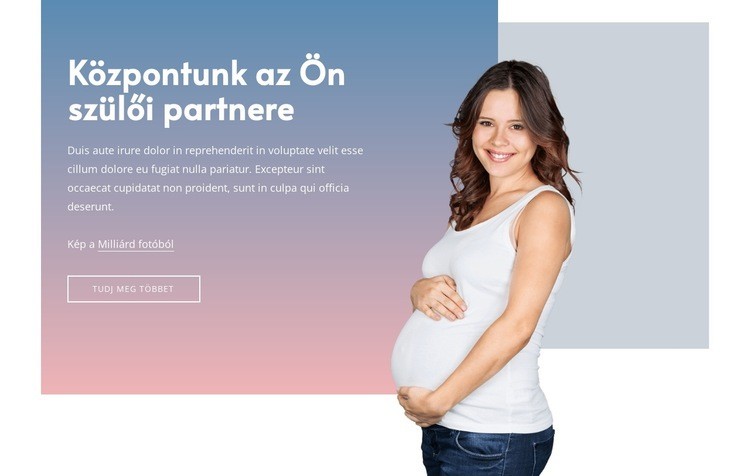 Kérjen terhességi segítséget Weboldal sablon