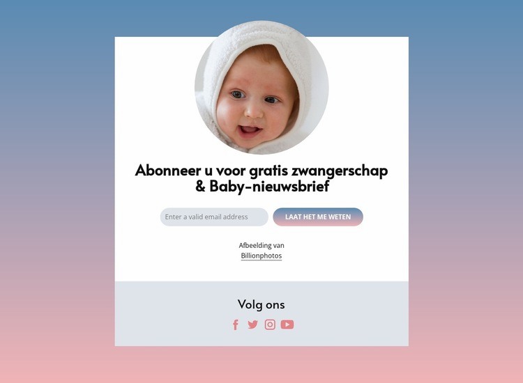 Gratis nieuwsbrief over zwangerschap en baby's Sjabloon