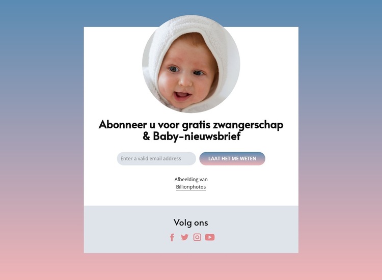 Gratis nieuwsbrief over zwangerschap en baby's Website sjabloon