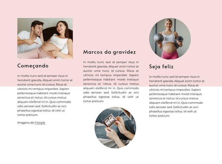 Marcos da gravidez Landing Page