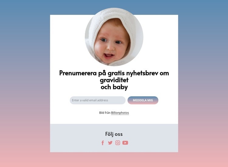 Gratis nyhetsbrev om graviditet och bebis CSS -mall