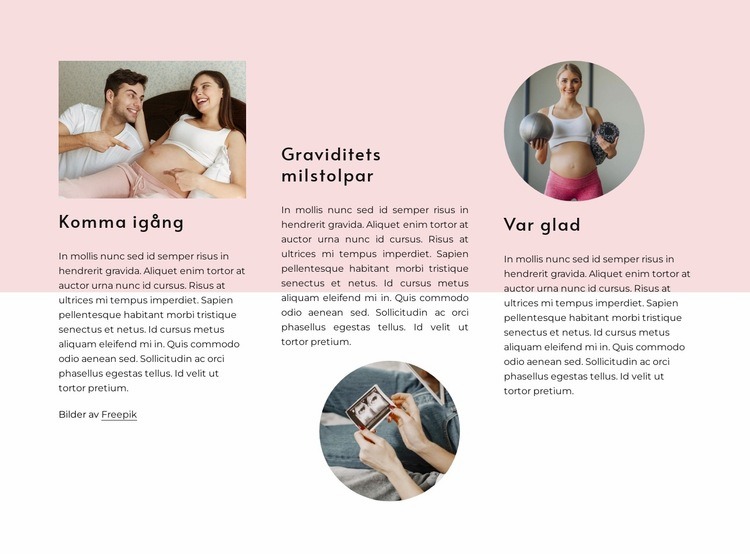 Graviditetsmilstolpar CSS -mall