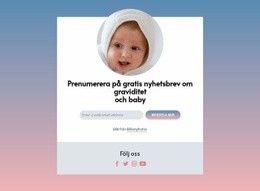 Gratis Nyhetsbrev Om Graviditet Och Bebis - HTML-Sidmall