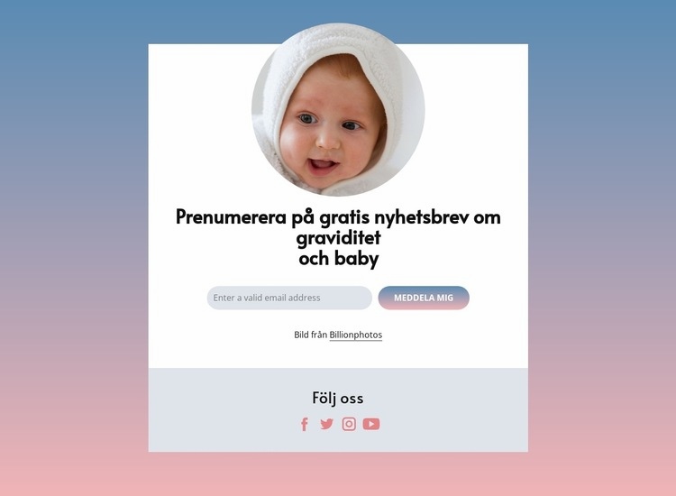 Gratis nyhetsbrev om graviditet och bebis WordPress -tema
