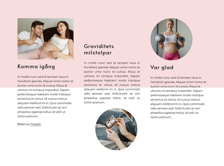 Graviditetsmilstolpar WordPress -tema