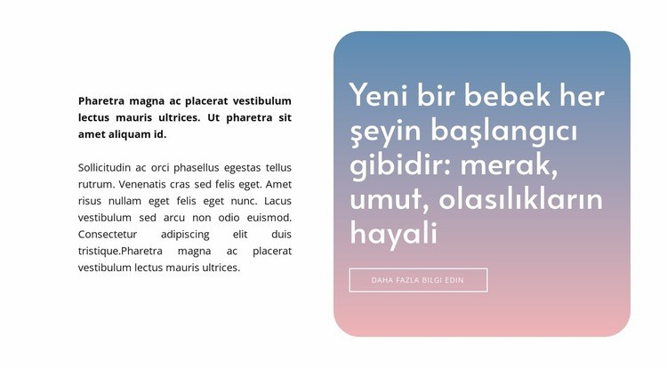 Degrade arka planda metin Web Sitesi Mockup'ı