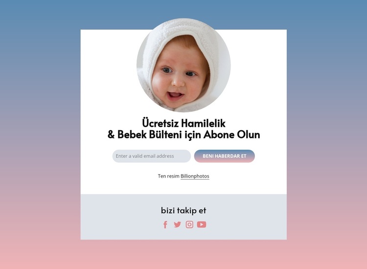 Ücretsiz hamilelik ve bebek bülteni WordPress Teması