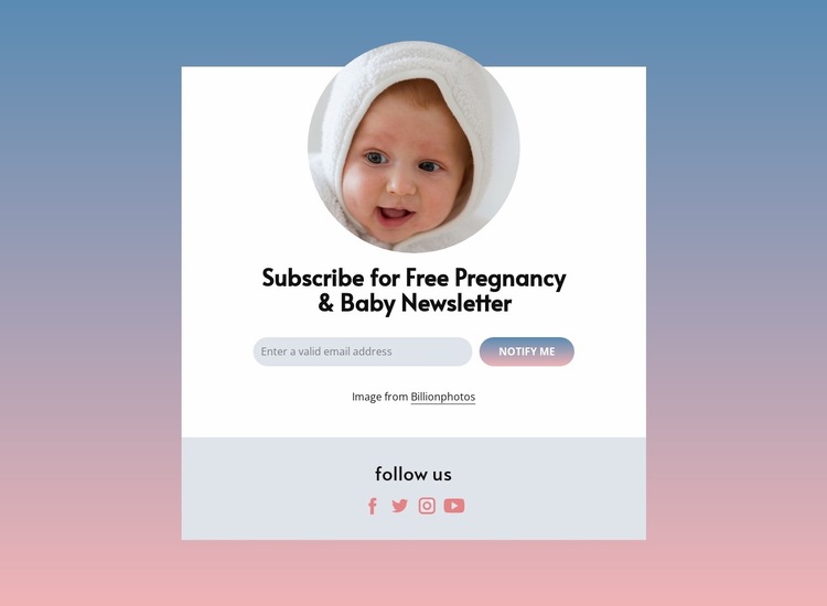 Free pregnancy and baby newsletter Website Builder Templates