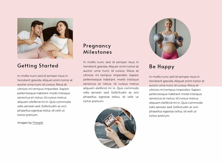 Pregnancy milestones Website Builder Templates