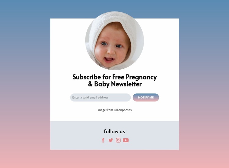 Free pregnancy and baby newsletter Website Design