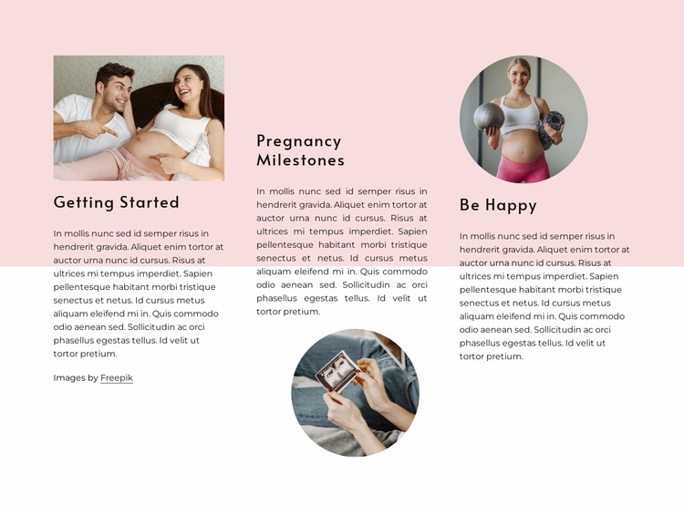 Pregnancy milestones Website Design