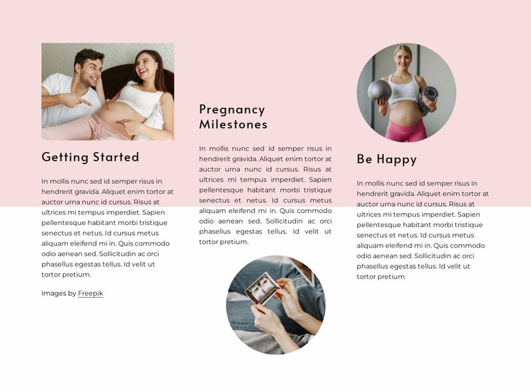 Pregnancy milestones Website Mockup