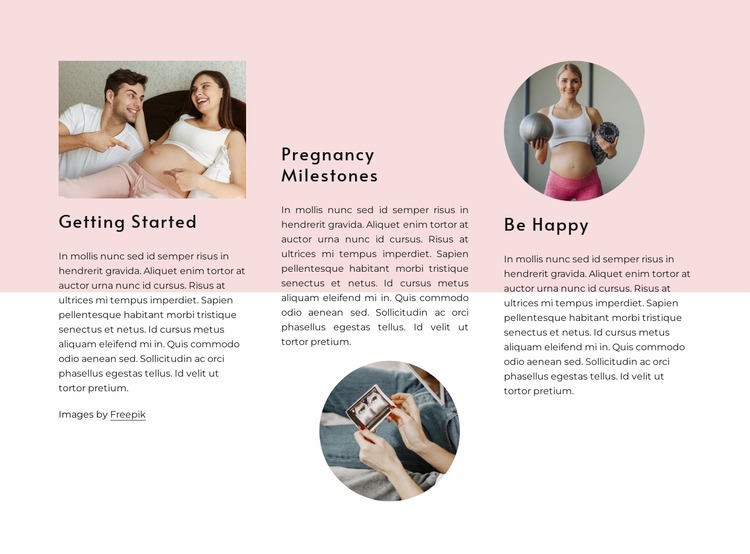 Pregnancy milestones WordPress Website Builder