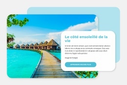 Le Côté Ensoleillé De La Vie - Modèle HTML5 Gratuit