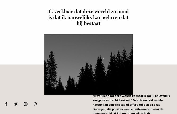 Donker landschap Website mockup