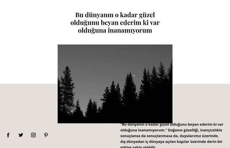 Karanlık manzara Web Sitesi Mockup'ı